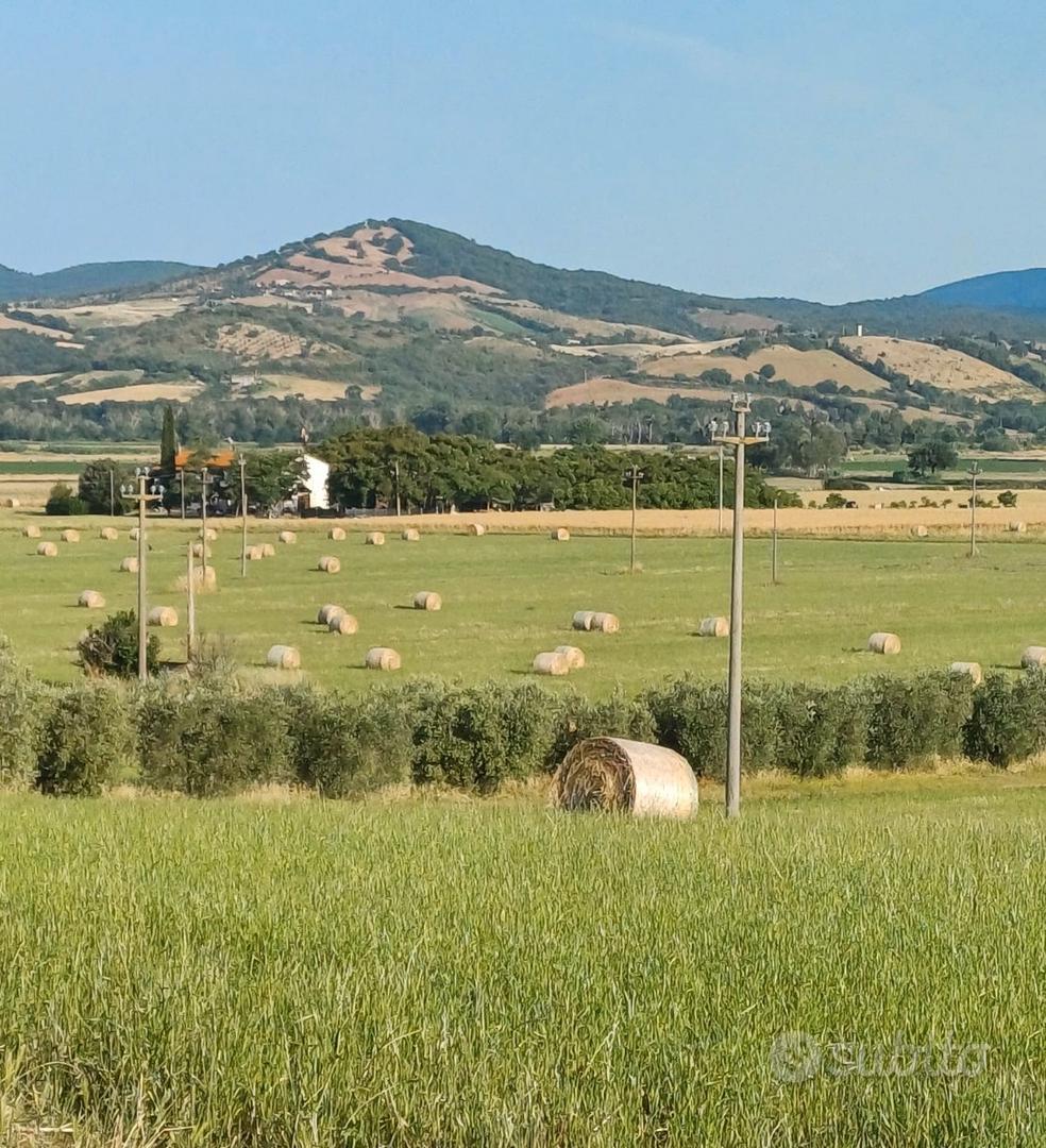 Terreno agricolo - Vista 3