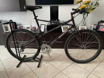 Bianchi ragno araneus