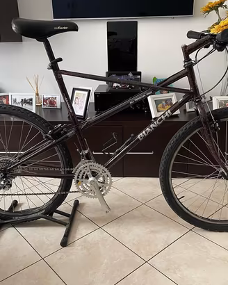 Bianchi ragno araneus