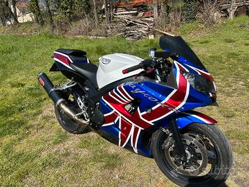 Triumph daytona