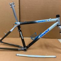 Giant Carbon cfm vintage 1993