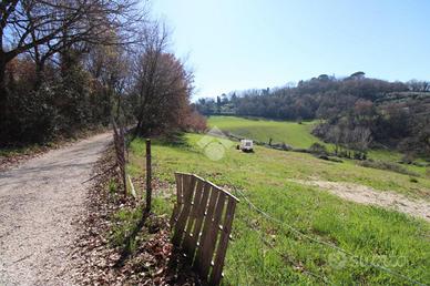 TER. AGRICOLO A MONTOPOLI DI SABINA