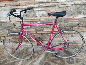 bicicletta uomo da passeggio