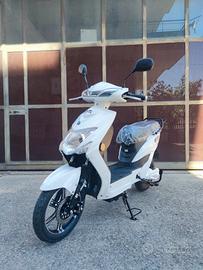 Scooter Elettrico 220 W - 48 V 
