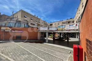 Negozio Orte [260VCG]