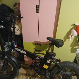 bici elettrica 