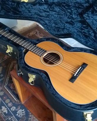 Breedlove p/sre tt parlor/0 abete palissandro USA