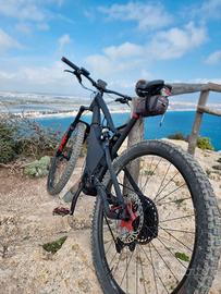 Ebike artigianale