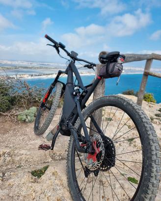 Ebike artigianale