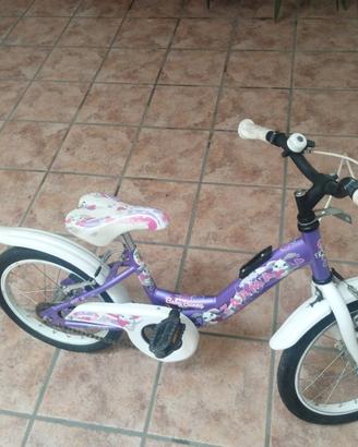 Bicicletta 