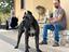 Immagine 6