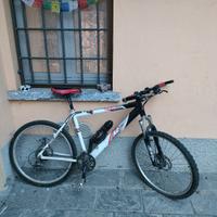 Bicicletta a 100 Euro