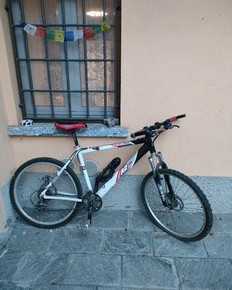 Bicicletta a 100 Euro