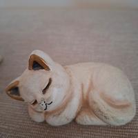 thun gatto 