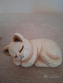 thun gatto 