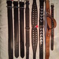 Guizagli e collari per molossoidi