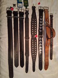 Guizagli e collari per molossoidi