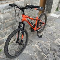 bicicletta da ragazzo vortex