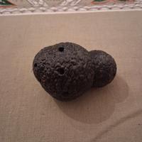 tartufo per addestramento 