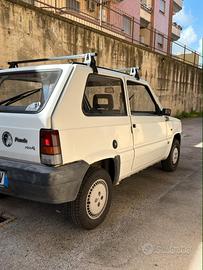 Panda 900 i.e. Young