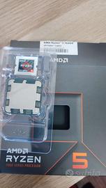 AMD Ryzen 7600x