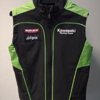 Smanicato Kawasaki replica SBK