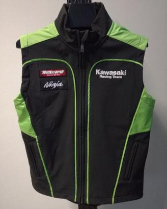 Smanicato Kawasaki replica SBK