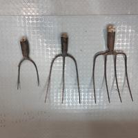 Forconi a 2-3-4 denti