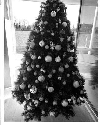 Albero di Natale