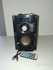 Cassa Bluetooth con radio