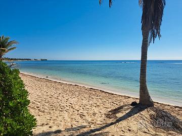 Attivita' ristorativa a tulum caraibi messico