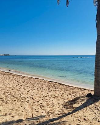 Attivita' ristorativa a tulum caraibi messico