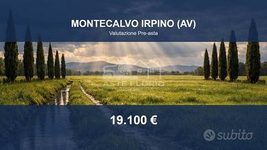Immobile in asta di 27000 m² a Montecalvo Irpino