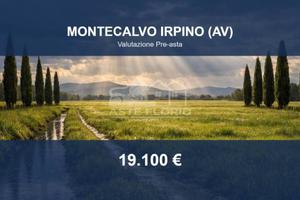 Immobile in asta di 27000 m² a Montecalvo Irpino