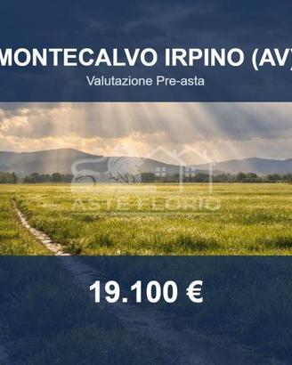 Immobile in asta di 27000 m² a Montecalvo Irpino