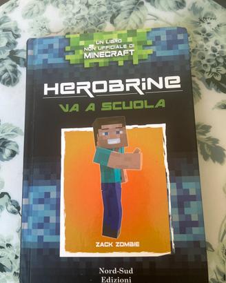 Libro minecraft