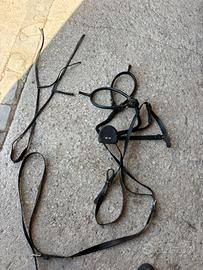 Braghe e accessori per cavalli