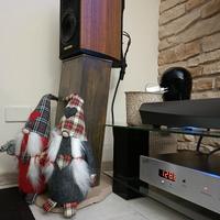 diffusori Sonus Faber Liuto Monitor