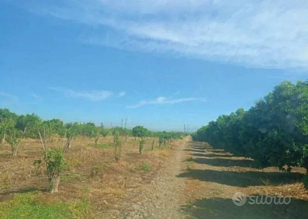 Immobile in asta di 8407 m² a Palagonia - Vista 3