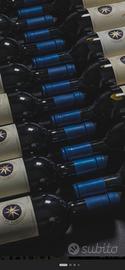 verticale sassicaia