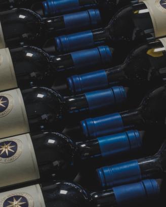 verticale sassicaia