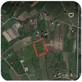 Terreno agricolo. 