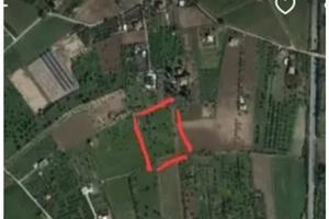 Terreno agricolo. 