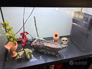 Acquario cayman80 prof.
