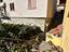 Immagine 22