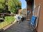 Immagine 8