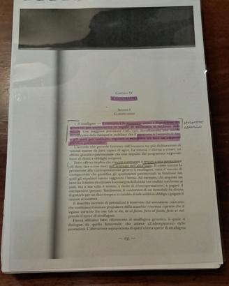 Dispensa Diritto Privato - Il Contratto