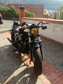 Harley Davidson Sportster Forty eight