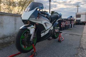 zxr 400 PISTA