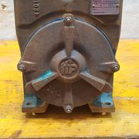 POMPA ACQUA a puleggia FORANI E PECORARI.